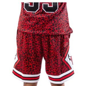 CHICAGO BULLS WILD LIFE SWINGMAN SHORTS Men's Shorts